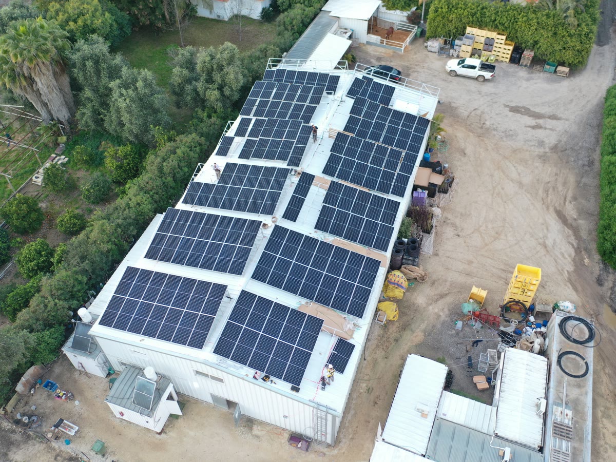 Vista aérea del techo de un galpón agroindustrial lleno de paneles solares