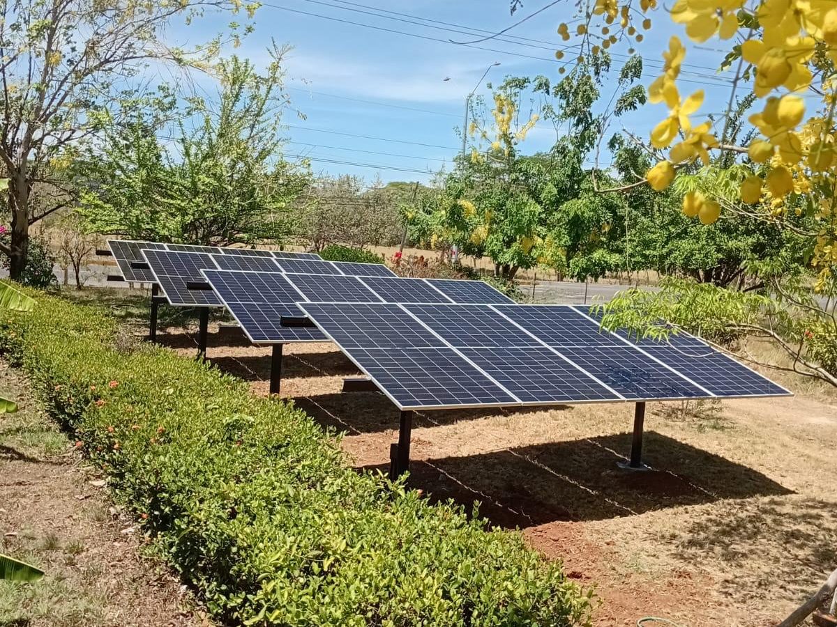 Paneles solares montados en el suelo en el jardín de una propiedad